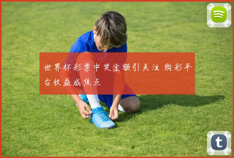 世界杯彩票中奖金额引关注 购彩平台收益成焦点