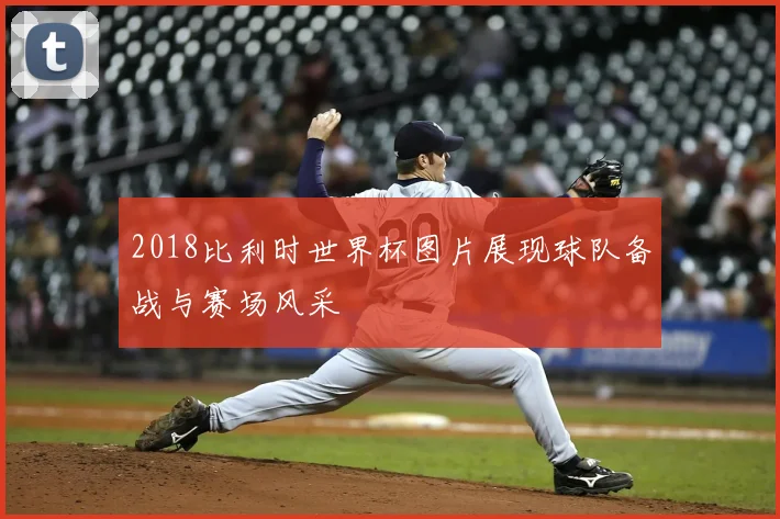2018比利时世界杯图片展现球队备战与赛场风采