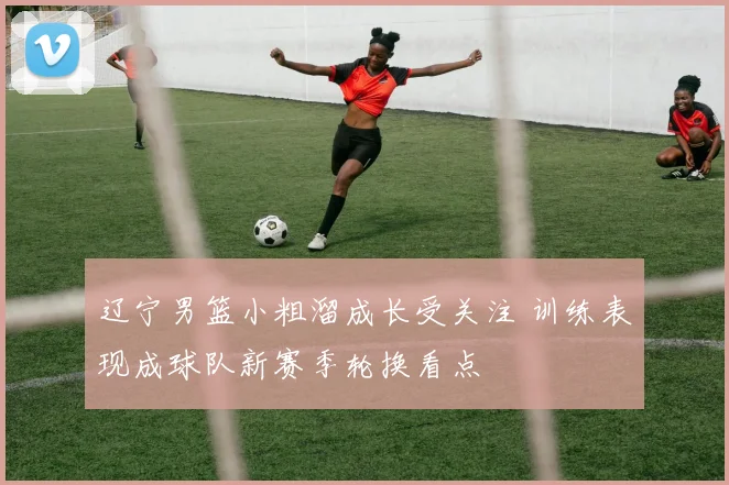 辽宁男篮小粗溜成长受关注 训练表现成球队新赛季轮换看点